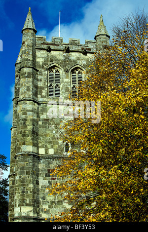 Wimborne Minster angesehen im Herbst, wo die goldenen Blätter zu fallen begonnen haben Stockfoto