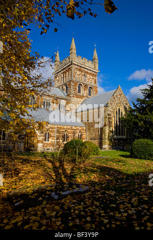 Wimborne Minster angesehen im Herbst, wo die goldenen Blätter zu fallen begonnen haben Stockfoto