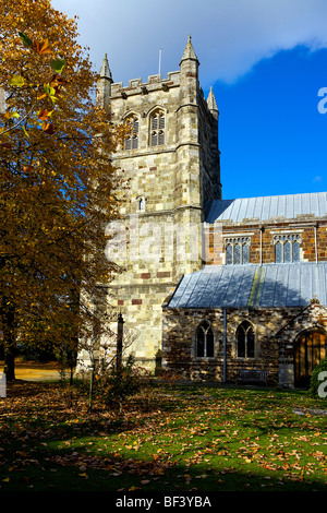 Wimborne Minster angesehen im Herbst, wo die goldenen Blätter zu fallen begonnen haben Stockfoto