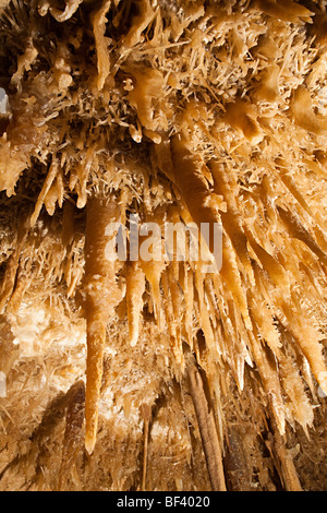 Stalaktiten-Höhlen von Sonora Texas USA Stockfoto