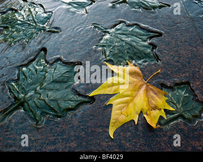 Canadian Armed Services Kriegerdenkmal mit Herbst Blatt, Green Park, London UK Stockfoto