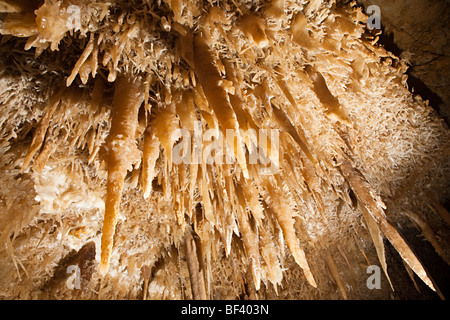 Stalaktiten-Höhlen von Sonora Texas USA Stockfoto