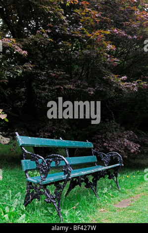 leere hölzerne Parkbank grün gefärbt farbig Stockfoto