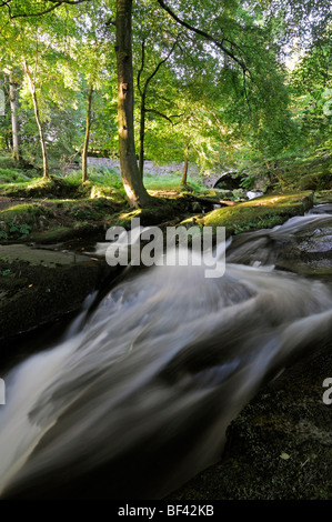 Cloghleagh River Wasserfall Strom Wicklow Irland Stockfoto