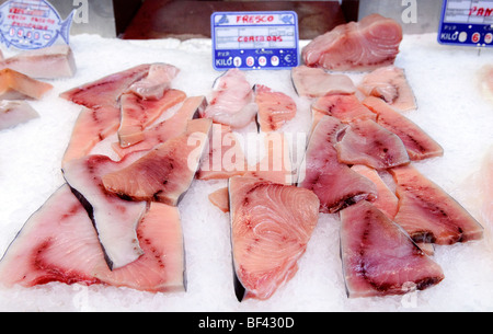 Stücke von frischem Thunfisch auf Verkauf in Fisch stall auf dem zentralen Markt Mercado Central von Valencia, Spanien, Stockfoto