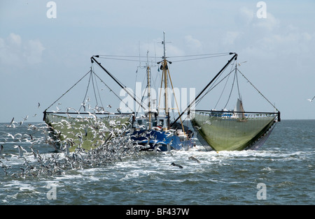 Vlıeland Terschellıng Texel Angeln Wattenmeer Wattenmeer Niederlande Stockfoto