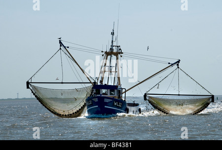 Vlıeland Terschellıng Texel Angeln Wattenmeer Wattenmeer Niederlande Stockfoto