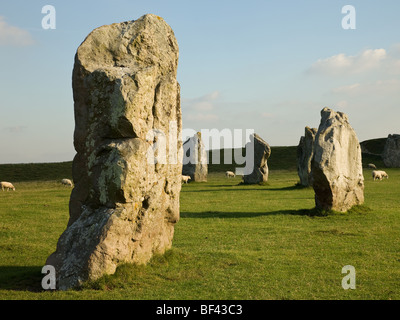 Steinkreis von Avebury Wiltshire England Stockfoto