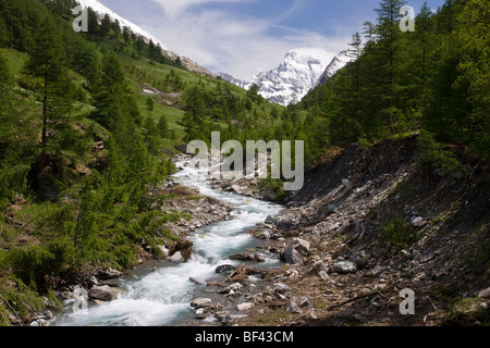 Nachschlagen von Guil-Tal in Richtung Monte Viso (in Italien) aus dem Naturpark Queyras, Französische Alpen, Frankreich. Stockfoto