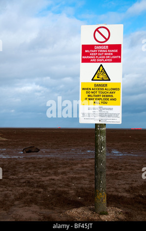 Dichtungen bei Donna Nook RAF in der Nähe von Grimsby Diskussionen Stockfoto