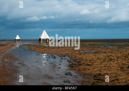 Dichtungen bei Donna Nook RAF in der Nähe von Grimsby Diskussionen Stockfoto