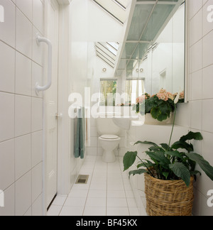 Kleine schmale moderne weiß gefliestes Badezimmer Erweiterung mit grüne Zimmerpflanze in Korb Stockfoto