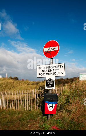 Dichtungen bei Donna Nook RAF in der Nähe von Grimsby Diskussionen Stockfoto