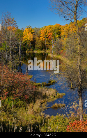 Kleiner See mit Bäumen im Herbst Farben in den Hügeln von Oak Ridges Moraine am Caledon Ontario Kanada Stockfoto