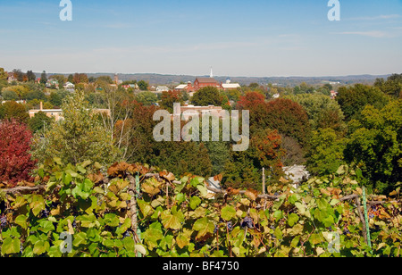 Herbst-Blick auf Hermann, MO, von Stone Hill Winery. Stockfoto