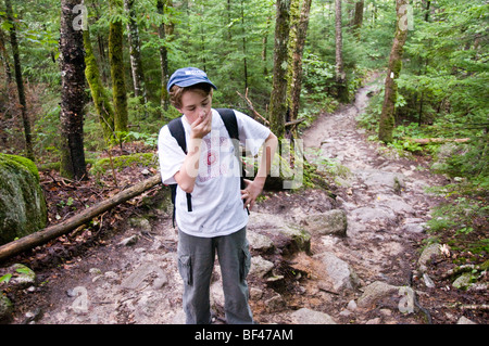 Appalachian Trail Endpunkt auf Mt Katahdin, Baxter State Park, Maine, USA Stockfoto