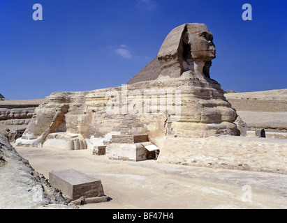 Blauer Himmel Tag berühmte historische große Sphinx von Gizeh eine Kalksteinstatue der liegenden Sphinx befindet sich auf dem Gizeh-Plateau am Westufer des Nils in Gizeh Ägypten Stockfoto