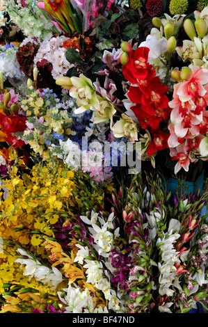 Trauben von bunten farbenfrohen gefälschte künstlichen Plastikblumen blüht auf Verkaufsmarkt unter freiem Himmel ho Chi Minh Stadt Vietnam Asien Stockfoto