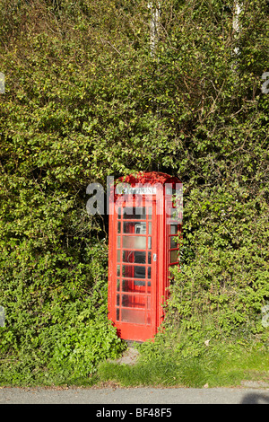 Rote Telefonzelle in Ceredigion, West Wales, UK Stockfoto