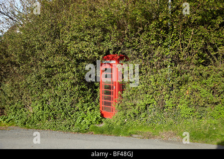 Rote Telefonzelle in Ceredigion, West Wales, UK Stockfoto