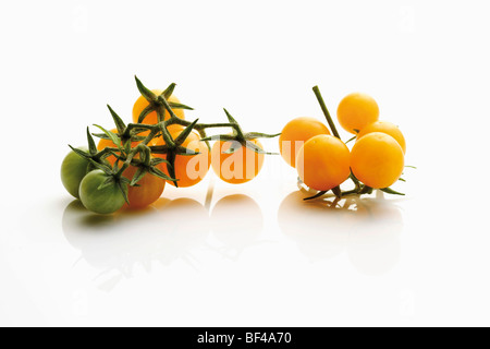 Gelbe Cherry-Tomaten, Rispen Stockfoto