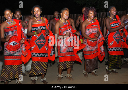 Frauen-Tanzgruppe in Tracht bei einer Abendveranstaltung, traditionelle Kulturzentrum Mantenga, Ezulwini Tal, Swasiland, Stockfoto