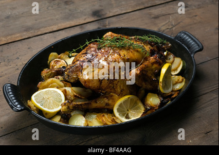 Zitronen-Hähnchen mit Thymian und Kartoffelgratin Stockfoto