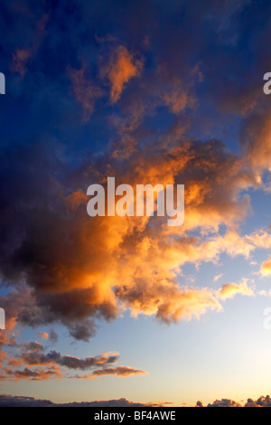 Dramatischer Himmel mit Wolken bei Sonnenuntergang, Landschaft in Oberalsterniederung Natur Rese von unten durch die späte Abendsonne beleuchtet Stockfoto