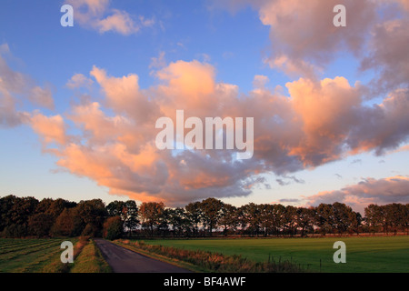 Dramatischer Himmel mit Wolken bei Sonnenuntergang, Landschaft in Oberalsterniederung Natur beleuchtete in rotes Licht aus der späten Abendsonne Stockfoto