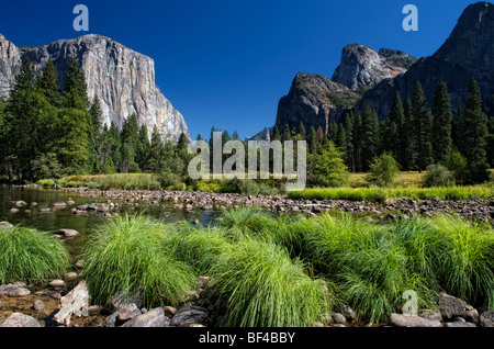 Tunnel View mit El Capitan auf der linken Seite, Yosemite-Nationalpark, Kalifornien, USA Stockfoto