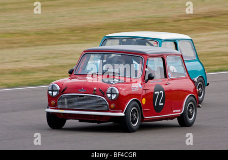 1963 Austin Mini Cooper S mit Fahrer Christian Horner bei der 2009 beim Goodwood Revival Meeting, Sussex, UK. Stockfoto