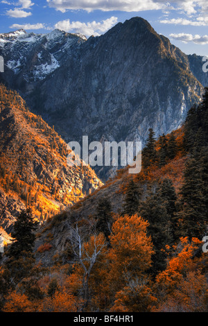 Herbstfarben in den Wasatch Mountains von Norden Utahs zeigt Storm Mountain und Twin Peaks Stockfoto