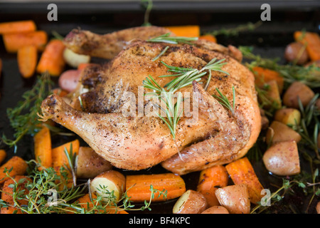 Ein gebratenes Huhn auf ein Backblech mit Rosmarin, Möhren, Kartoffeln und Süßkartoffeln Stockfoto