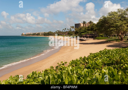 Konsequent wurde zu einer der schönsten Strände der Welt Kaanapali Beach auf Maui Hawaii Stockfoto