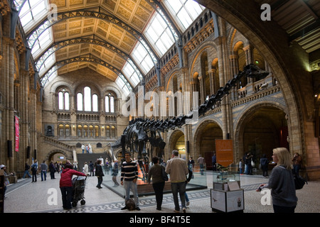 Das Grand Foyer, Natural History Museum South Kensington London England UK Stockfoto