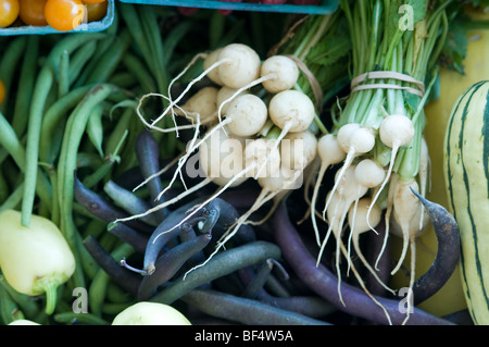 Gemüse in CSA Anteil Stockfoto