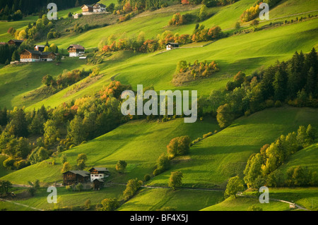 Häuser und Höfe, Val di Funes, Dolomiten, Trentino-Alto Adige, Italien Stockfoto