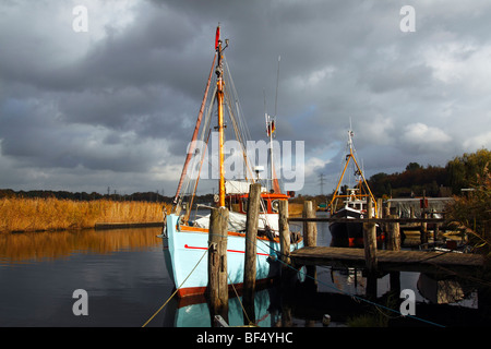 Angelboote/Fischerboote in den kleinen Hafen von Gothmund an der Trave, Hansestadt Lübeck, Schleswig-Holstein, Deutschland, Eur Stockfoto
