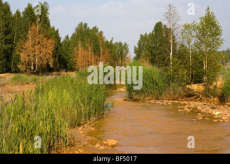 Orange River und sterbende Bäume verunreinigt durch Kupfer schmelzen, Karabash, Ural, Russland Stockfoto