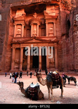 Beduinen Kamele warten auf Touristen am berühmten Denkmal in Petra, Süden von Jordanien, die Schatzkammer. Stockfoto