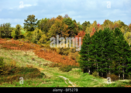 herbstliche Landschaft mit einer unbefestigten Straße in Balkangebirges Berg Stockfoto