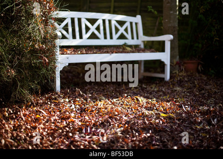 Eine Holzbank in der Ecke eines vorstädtischen Gartens im Herbst in Redditch, Worcestershire, UK Stockfoto