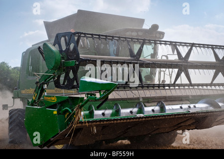 Mähdrescher, sammeln von Pflanzen - close-up der Maschine Stockfoto