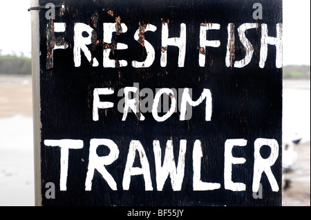 Fisch frisch Trawler unterzeichnen am Kai in Appledore, Devon Stockfoto