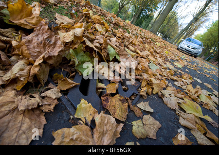 Gefallene Blätter von Abfallung Bäume beginnen, Straßen Entwässerungssysteme mit möglichen Überschwemmungen ein Ergebnis von der Einmischung zu blockieren. Stockfoto