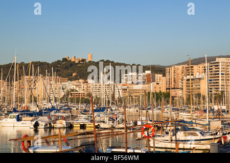 Yachthafen von Palma De Mallorca, Mallorca, Mallorca, Balearen, Mittelmeer, Spanien, Europa Stockfoto