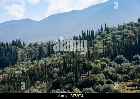 Kefalonia Insel-Landschaft in den Bergen auf Ayios Nikolaos, Pirgi Bezirk Stockfoto