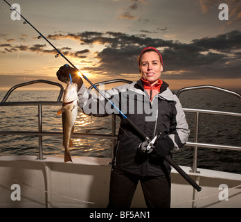 Frisch gefangenen Kabeljau, Nordatlantik, Raufarhofn, Island Stockfoto