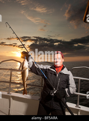 Frisch gefangenen Kabeljau, Nordatlantik, Raufarhofn, Island Stockfoto