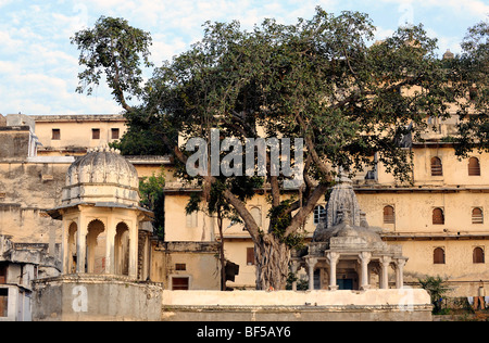 Stadtschloss am Lake Pichola, Detail, Udaipur, Rajasthan, Nordindien, Indien, Südasien, Asien Stockfoto